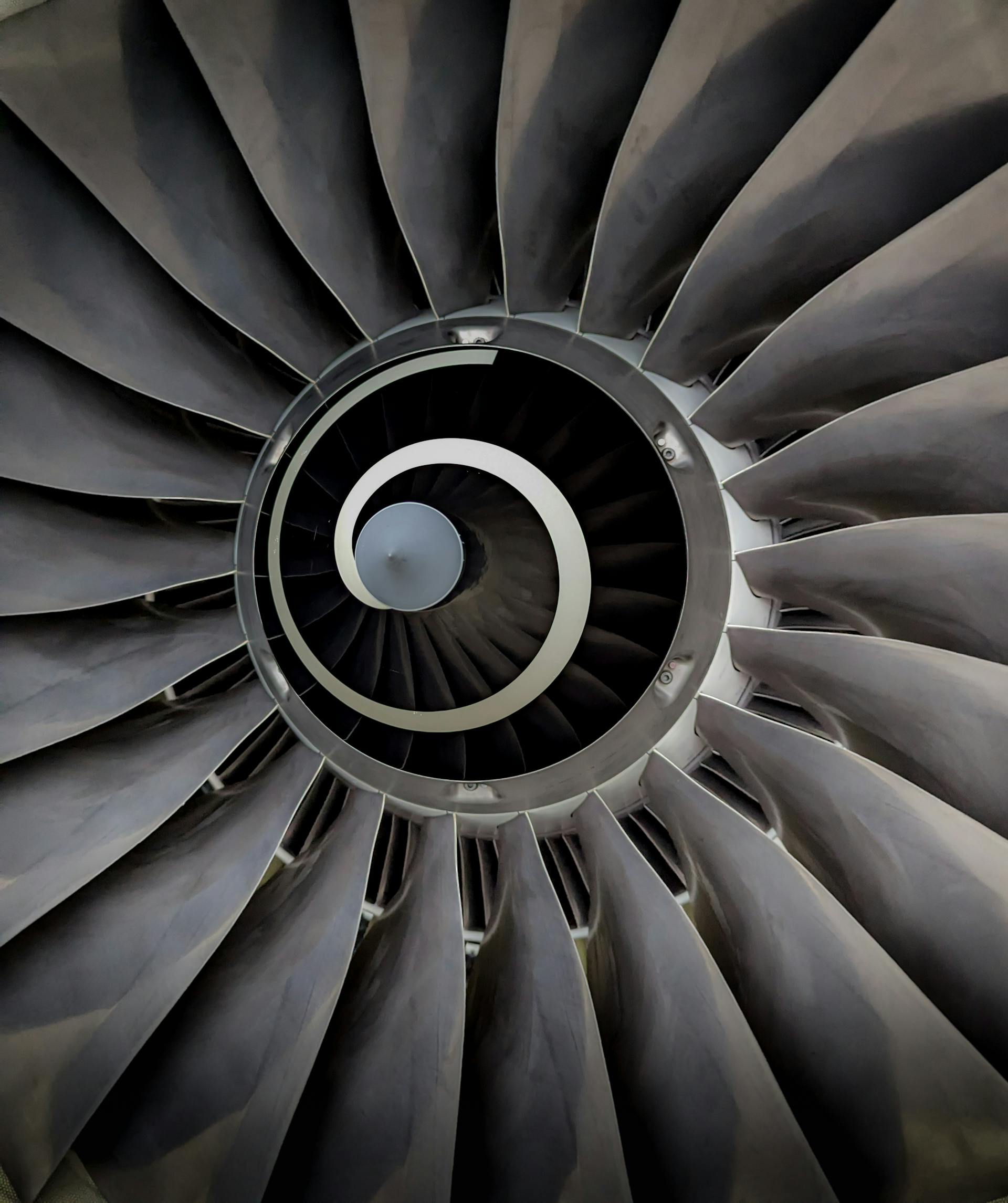 pexels joerg mangelsen 337913024 15817655